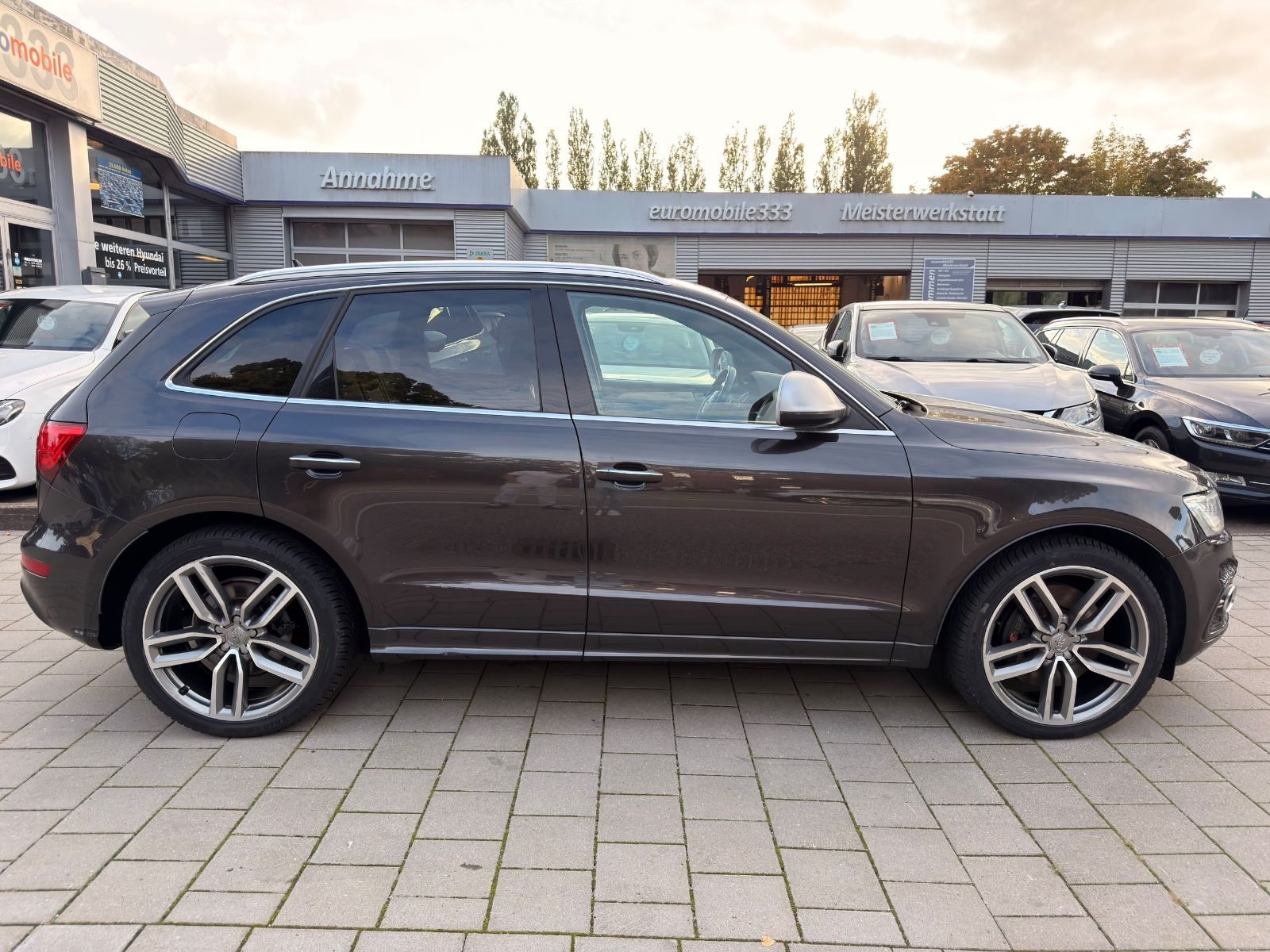 Audi SQ5 – Bild 8